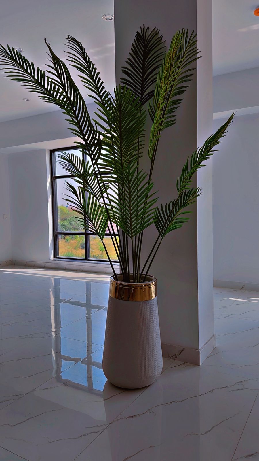 Large Areca Palm with Gold-Rim Planter