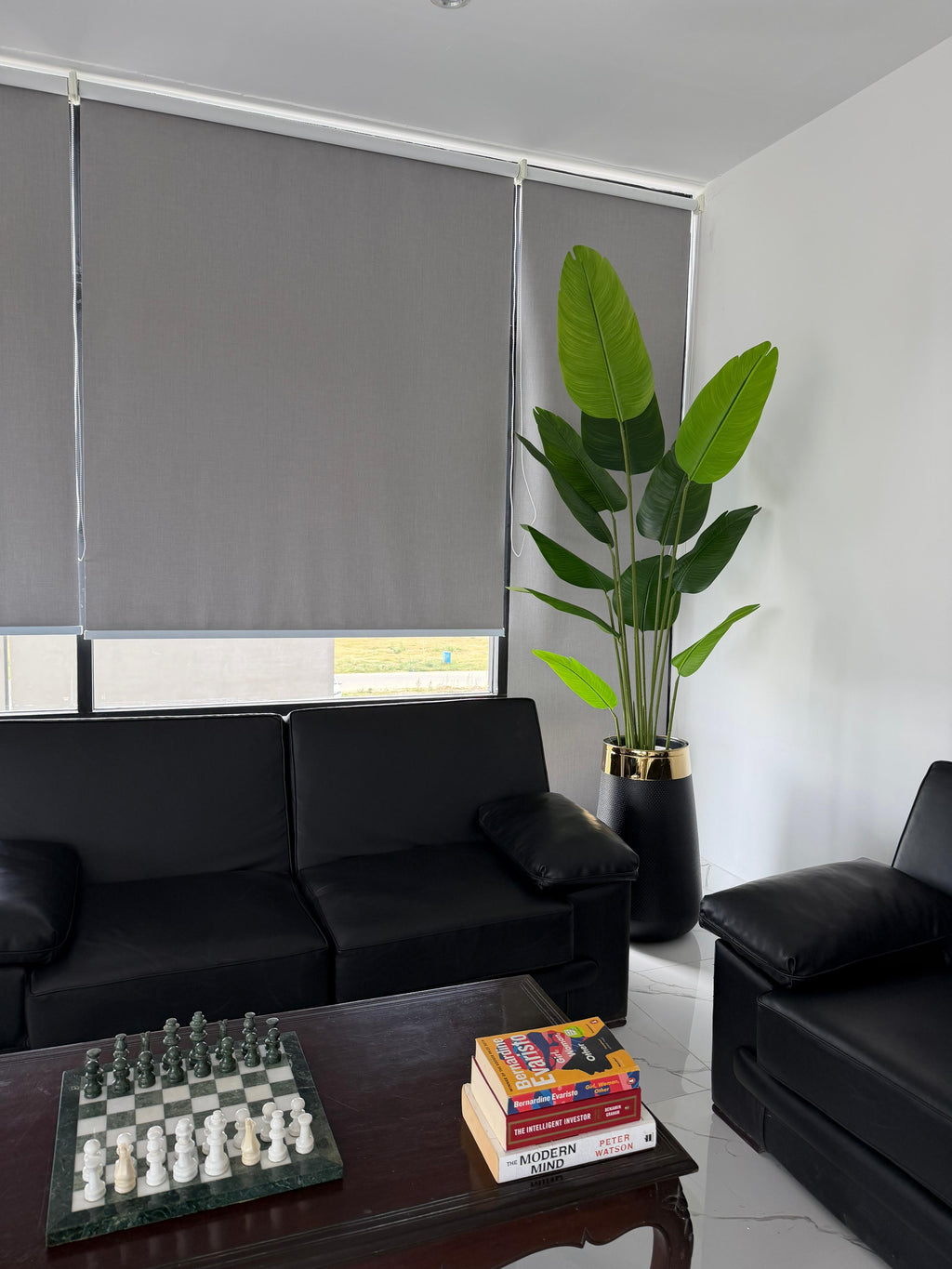 Tall Banana Palm with Fibre Planter